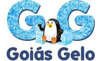 Logo Goiás Gelo em São Francisco
