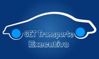 Logo Tanure Transportes