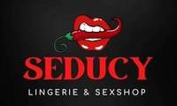 Logo Seducy Lingerie e Sex Shop em Ilda