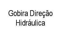 Logo Gobira Direção Hidráulica em Regina Peres