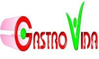Logo GastroVida MS em Santa Fé