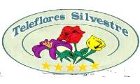 Logo Tele Flores Silvestre em Tamarineira