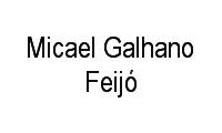 Logo Micael Galhano Feijó em Araés