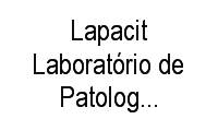 Logo Lapacit Laboratório de Patologia E Citologia em Centro