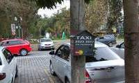 Logo Táxi centro de turismo em Centro