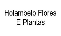 Logo Holambelo Flores E Plantas em Centro