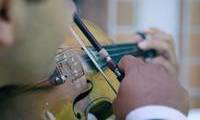 Fotos de Cosmo Violino em Fortaleza