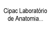 Logo Cipac Laboratório de Anatomia Patológica em Jardim Blumenau