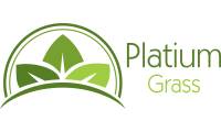 Logo Platiumgrass - Gramas em Tribobó