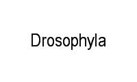 Logo Drosophyla em Consolação