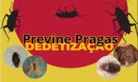 Logo Previne Pragas Dedetização - Dedetizadora em Brasília DF