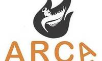 Logo Arca Web Agência - Criamos Sitesc em Santa Cruz Industrial