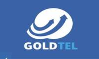 Logo Goldtel Segurança Eletrônica