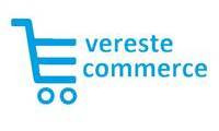 Logo EVEREST E-COMMERCE em Estoril