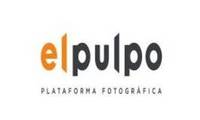 Logo elpulpo - Plataforma Fotografica em Perdizes