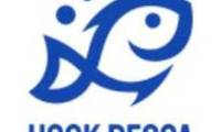 Logo Hook Pesca