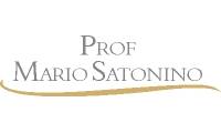 Logo Prof Mário Satonino