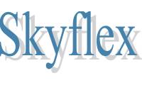 Logo Skyflex Tecnologia em Asa Sul