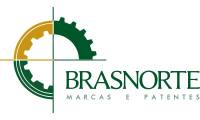 Logo Brasnorte Marcas E Patentes