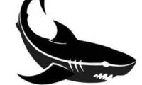 Logo Agência Black Shark em Setor Sul (Planaltina)