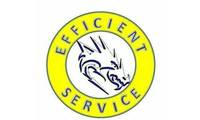 Logo Efficient Service - Serviços Inteligentes. em Centro