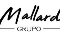 Logo Grupo Mallard em São Luiz