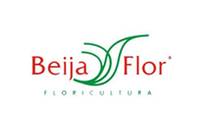 Logo Beija Flor Floricultura - Forte Grama em Nova Granada