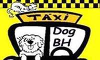Fotos de Táxi Dog Bh em Betânia