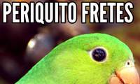 Logo Piriquito Fretes