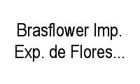 Logo Brasflower Imp. Exp. de Flores E Frutas em Vila Leopoldina