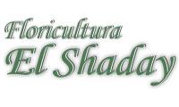 Logo Floricultura El Shaday em Parque Residencial Tuiuti