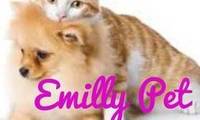 Logo Emilly Pet em Centro