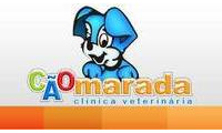 Logo Clínica Veterinária CãoMarada em Vila Zilda (tatuapé)