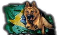 Logo Gomide Adestramento de Cães em Planaltina