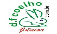 Logo D F Coelho Júnior em Cachoeirinha