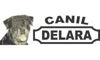 Logo Canil Delara - Cães de Guarda em Pinheirinho
