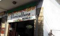 Logo Floricultura Liberdade em Santa Isabel