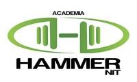 Logo Academia Hammernit em Icaraí