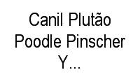Logo de Canil Plutão Poodle Pinscher Yorkshire Shitzu em Itaigara