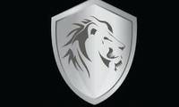Logo Lion Souza Segurança e Monitoramento 24h em Sobradinho
