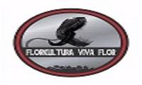 Logo Floricultura Viva Flor em São Marcos