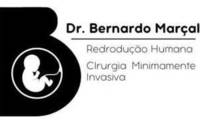 Logo BERNARDO MARÇAL - REPRODUÇÃO HUMANA E VIDEOCIRURGIA em Asa Sul