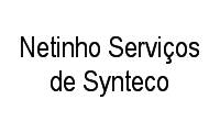 Logo Netinho Serviços de Synteco em América