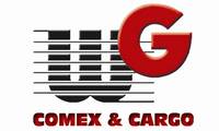 Logo WG Comex e Cargo - Transportadora em São Francisco