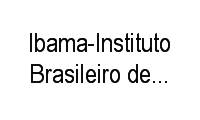 Logo Ibama-Instituto Brasileiro de Meio Ambiente Recursos Naturais Renováveis em Aeroporto