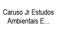 Logo Caruso Jr Estudos Ambientais E Engenharia