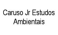 Logo Caruso Jr Estudos Ambientais em Centro