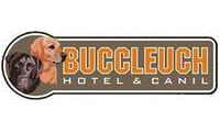 Logo Canil Buccleuch - Canil Labrador em Santa Felicidade